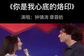 #钟镇涛 与前妻#章小蕙 的#情歌对唱《#你是我心底的烙印》，#马景涛 #陈德蓉 主演的《#梅花烙》片尾曲视频封面