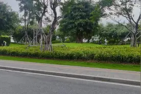 工作七天公司不给发工资怎么办？#武律师 #劳动法知识 #法律知识视频封面