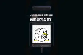 小米 华为 鹿客 德施曼 凯迪仕 智能锁选择哪家的？  #智能锁 #指纹锁 