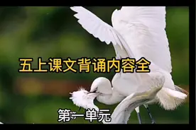 五上课文背诵内容全视频封面