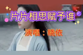 一首片片相思赋予谁晓依原唱，唱出多少人的心酸！听醉了！