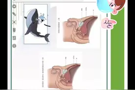 脐尿管会有哪些疾病#同济大学 #防疫必胜 #健康科普 #共同助力疫情防控 #健康养生 #全民防疫 #医护人员辛苦了 #祖国加油🇨🇳 #防疫人人有责 #致敬一线工作人员 #万众一心抗疫情 #全民抗疫 #众志成城打赢疫情防控阻击战 #上海 #我们终将战胜疫情 #致敬疫情前线最美逆行者 #传承中医文化 #防疫