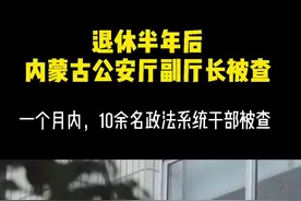 退休半年后，内蒙古公安厅副厅长被查视频封面