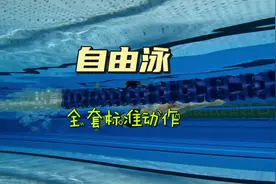 自由泳的全套标准动作，让你轻轻松松畅游无限#游泳 #自由泳
