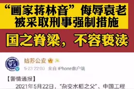 “画家蒋林音”侮辱袁老   被采取刑事强制措施