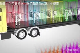 人生这辈子还是少吃牛肉。牛肉吃多了到处吹牛逼。有啥意思。视频封面