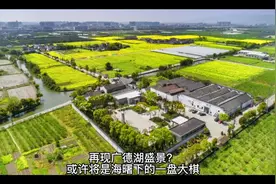 #生态宜居 #广德湖复建 #生态环境 #保护生态环境视频封面