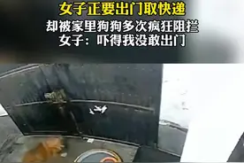 #神州新闻 女子正要出门取快递，却被家里狗狗疯狂阻拦@DOU+小助手视频封面