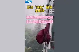 武汉“网红”窗帘全剧终，被湖北省博物馆收藏，主人说:这是最好的结局#心系湖北抗疫情 #网红窗帘 #湖北省博物馆