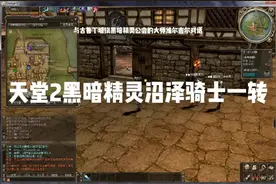 天堂2黑暗精灵沼泽骑士一转任务#游戏 #游戏日常 #怀旧游戏视频封面