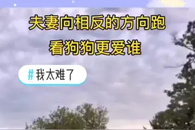 #萌宠 #怎么会这样 #太难了 #我要上热门 @DOU+小助手