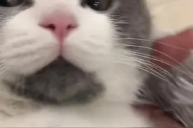 哇塞怎么8点45了！！！！#迟到了