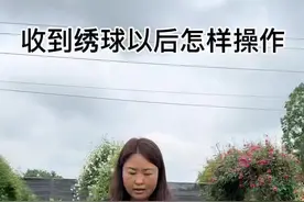 收到绣球苗以后怎样缓苗#养花 #绣球@抖音短视频 @原野花园野嫂视频封面