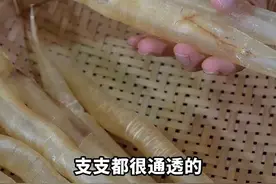 “入秋三分虚”，鳝鱼胶是这时候进补zui佳的选择！#鱼胶花胶 视频封面