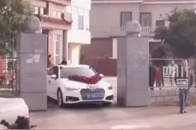 12月6日，湖南湘潭。新娘子出嫁了，自家狗追着婚车跑了十几公里……视频封面