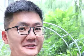 山乌龟只爬藤不长叶子怎么办？