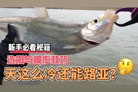 天这么冷还能路亚?选饵与操作技巧分享，专治冬季翘嘴不开口