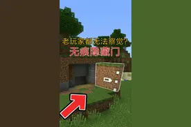 界我的世界无痕隐藏门手