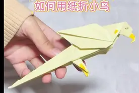 如何用纸折小鸟#用废品制作创意手工 #小学手工制作大全