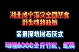 湖北咸宁落实全面禁食野生动物！采用深坑撒石灰式填埋6000公斤竹鼠、蛇类！