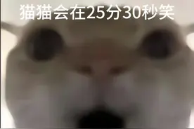 #阿米诺斯猫猫表情包图片 #又水了一天 其实没有笑视频封面