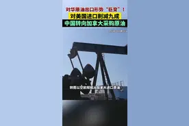 其实从俄罗斯和中东进口也行，但我们就是从加拿大进口，这步棋高#内容启发搜索视频封面