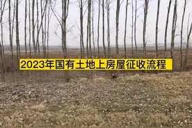 新整理！国有土地上房屋征收流程！视频封面