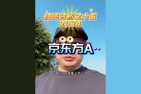 2024投资分析之十五，京东方A！#财经 #股票 #股民 #干货分享 #京东方视频封面