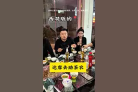 即将带大家了解云南普洱茶#记录真实生活