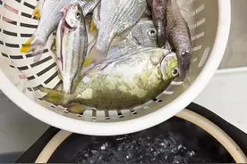 在湛江万物皆可水煮，关键还那么多人喜欢它，你吃过吗？#湛江杂鱼煲做法 #最新鲜的鱼 #纯天然无添加 #海边人