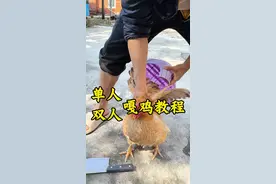 #上热门 割鸡嘎鸡的方式方法教程来了，大家还有什么更好的方法吗#农村生活 #杀鸡 #杀鸡神操作 #杀鸡过年