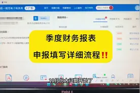 季度财务报表，利润表，资产负债表申报填写全流程#财务报表