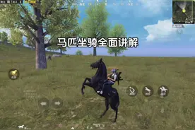 新载具马匹全面讲解！ #和平精英视频封面