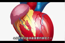 #医学科普 #生命科学 #心脏的功能视频封面