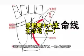 掌相第十六课——生命线（一）#掌纹的秘密 #国学文化 #易学智慧
