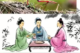 丝光椋鸟又称牛屎八哥，是中国特产鸟类，叫声嘶哑 #内容启发搜索 #丝光椋鸟叫声 #动物鸟世界