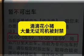 滴滴花小猪加速合规化，大量无证司机账号被限制和封禁！ #网约车 #网约车司机