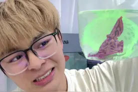 有剧毒的蓝环章鱼到底好养吗？ #养鱼日记 #蓝环章鱼 #鲁伟学长 #神奇动物在抖音视频封面