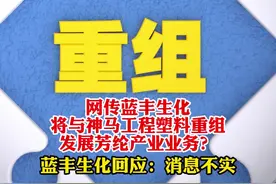 网传蓝丰生化将与神马工程塑料重组，发展芳纶产业业务？蓝丰生化回应：消息不实视频封面