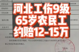 河北工伤9级，65岁农民工，约赔12~15万左右。#山东 #四川 #江苏视频封面