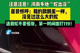 注意注意！河南多地“蛇出没”，居民惊呼：粗的跟鹅蛋一样，没见过这么大的蛇，遇到蛇不要慌张，第一时间拨打119！
