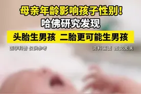 哈佛研究发现：头胎生男孩，二胎更可能生男孩👶👶 #生育 #出生性别 #多孩家庭 #初育年龄 #同性扎堆