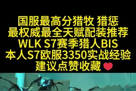 国服最高分猎牧猎惩S7赛季猎人详细配装天赋推荐 #魔兽 #魔兽世界 #魔兽世界怀旧服 #巫妖王之怒 #猎人PVP