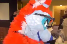 感觉至上，喜欢最重要#furry兽装