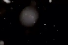 大爱仙尊自从炼制出十转净网蛊开始便成以为棋子变成了一位真正…