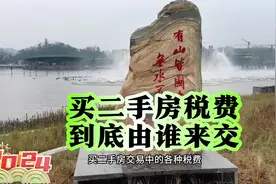 买二手房交易中的税费都由谁来支付#老百姓关心的话题视频封面