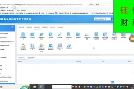电子税务局申报记录查询及更正 #更正申报图片