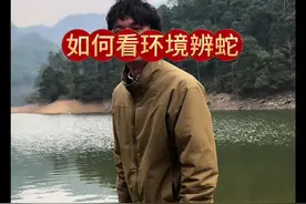 画面中的环境都出现过视屏所说的蛇种 #野外户外 #蛇类科普 #毒蛇咬伤