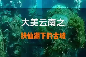 #创作灵感 神秘抚仙湖的水下千年古城，隐藏着怎样的秘密？是历史的沉淀，还是未知的文明#抚仙湖 #水下古城 #抖音看世界视频封面