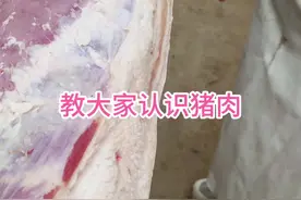 教大家认识猪肉 教大家认识猪肉#左手刀鹏哥 #猪肉 #解压 #技巧 #知识